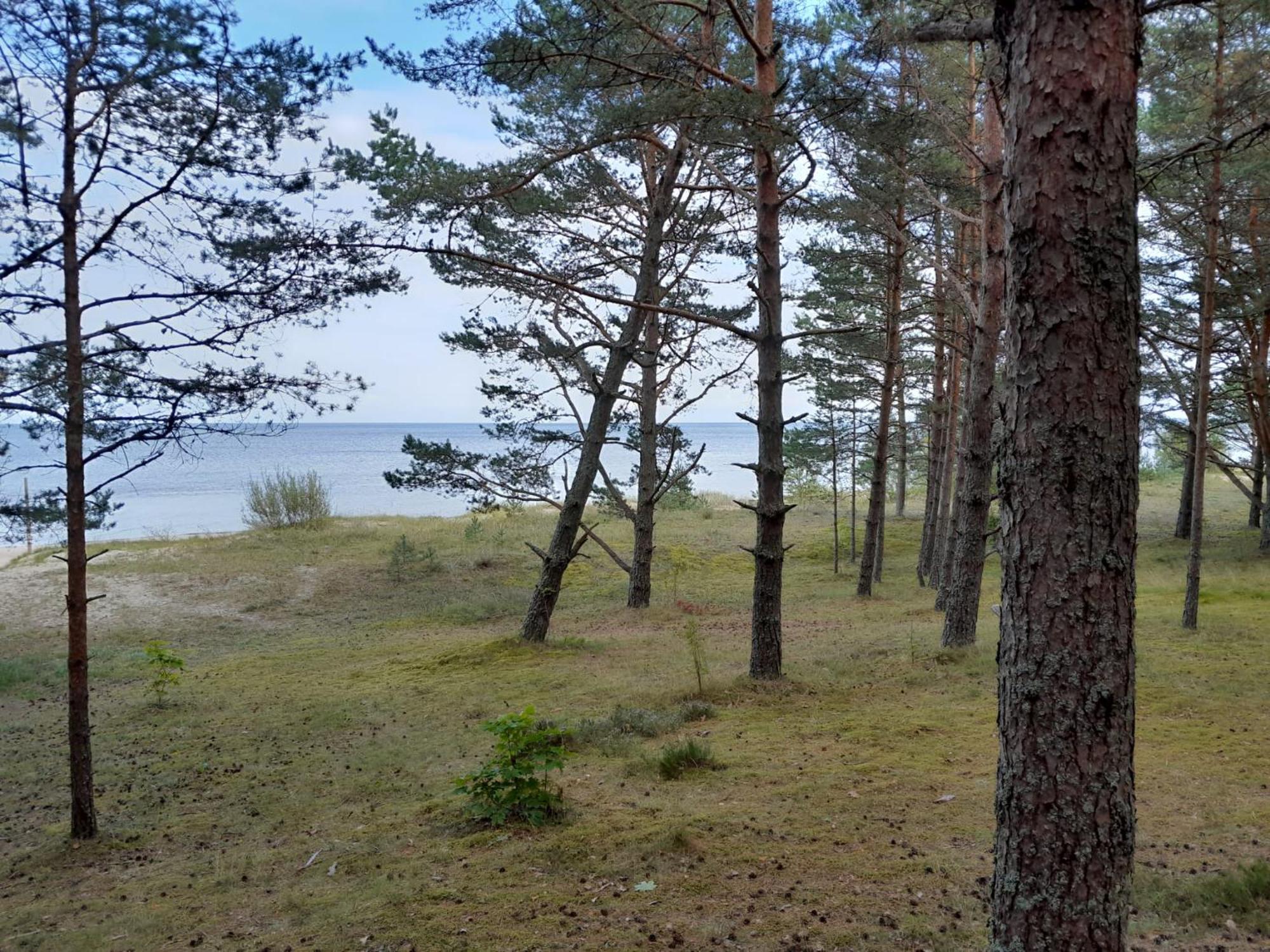 Hotel Glamping Fluffy Horns - Glempings Pukainie Ragi Plieņciems Exterior foto
